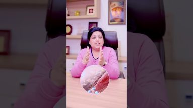 1766319655 maxresdefault