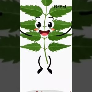 1766320802 maxresdefault