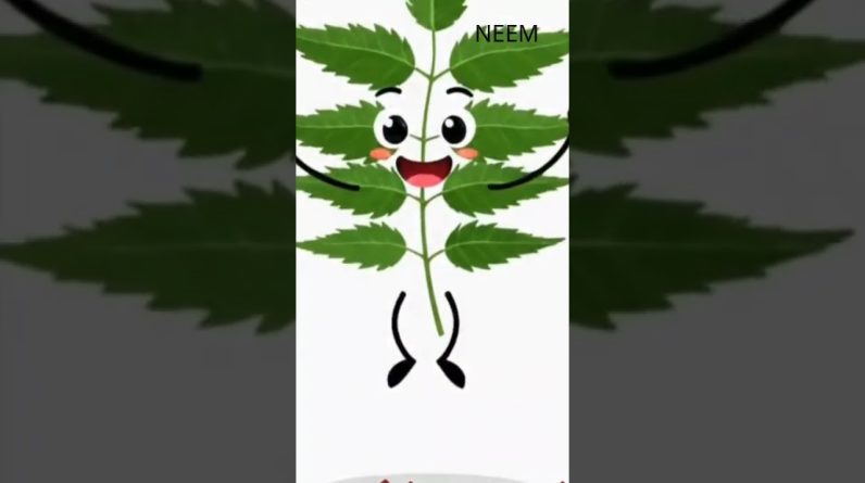 1766320802 maxresdefault