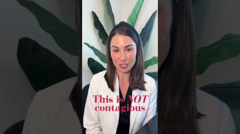 1766323063 maxresdefault