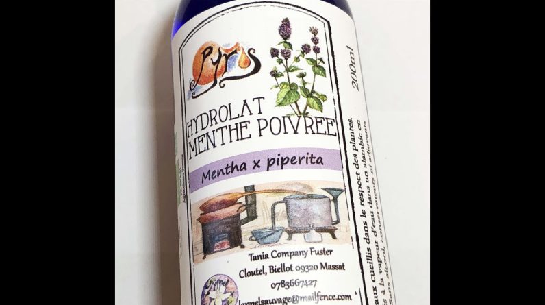 1766323543 maxresdefault