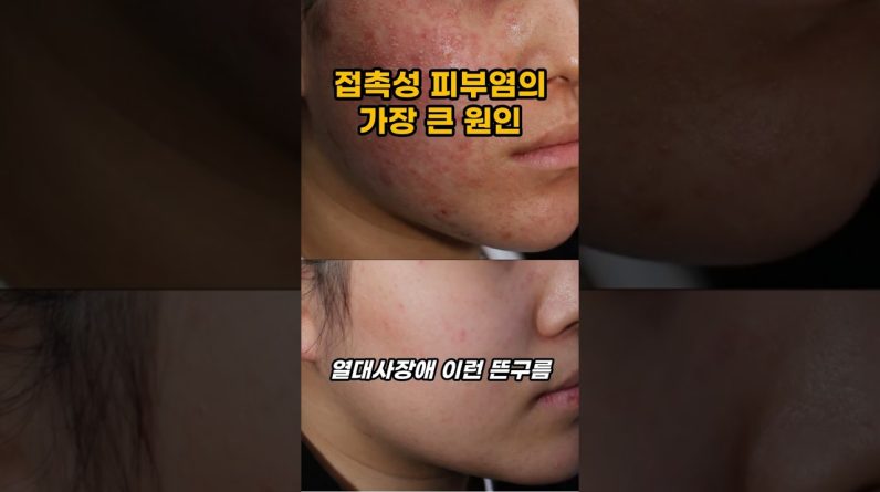 1766343011 maxresdefault