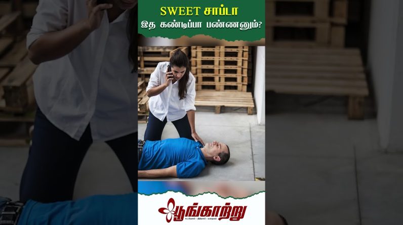 1766350366 maxresdefault