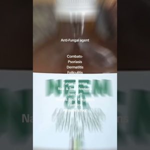 1766350734 maxresdefault