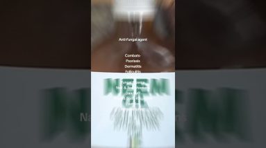 1766350734 maxresdefault