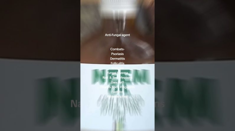 1766350734 maxresdefault