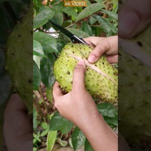 1766377971 maxresdefault