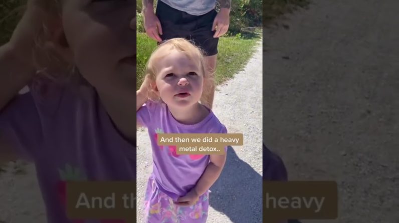 1766397608 maxresdefault