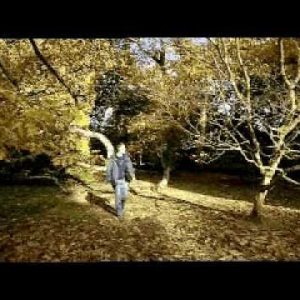 1766398251 hqdefault