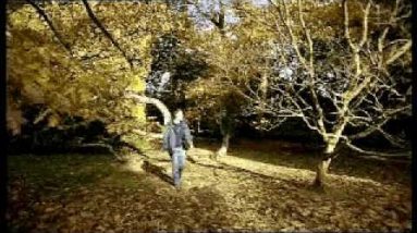 1766398251 hqdefault