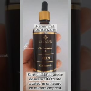 1766405591 maxresdefault