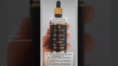 1766405591 maxresdefault