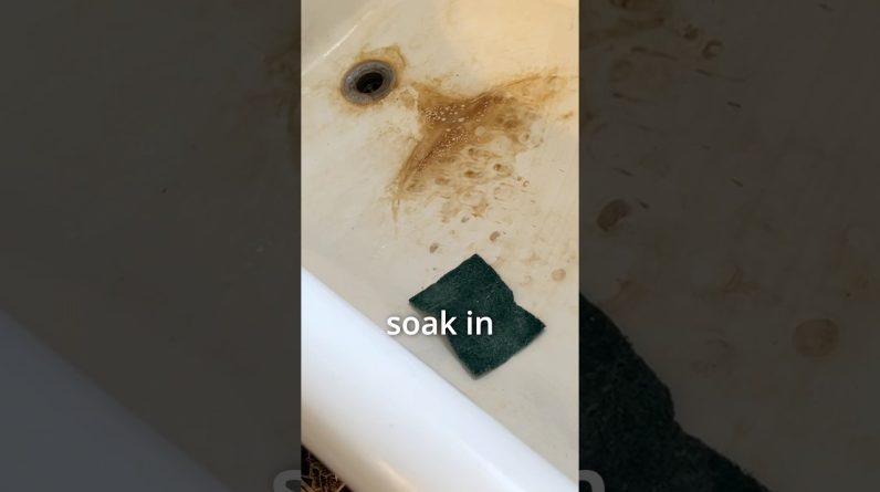 1766410917 maxresdefault