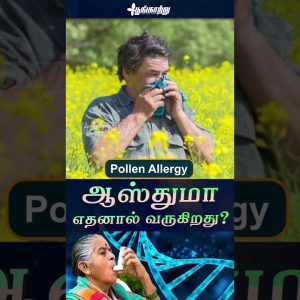 1766419965 maxresdefault