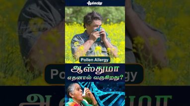 1766419965 maxresdefault