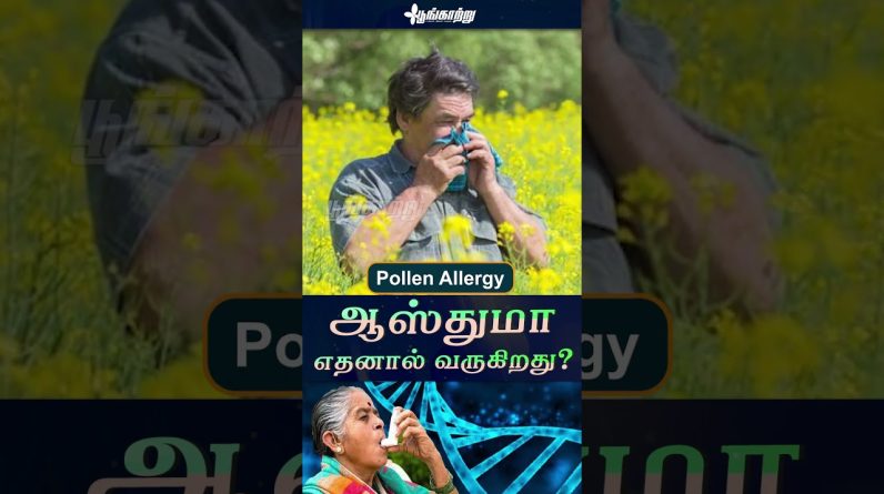 1766419965 maxresdefault