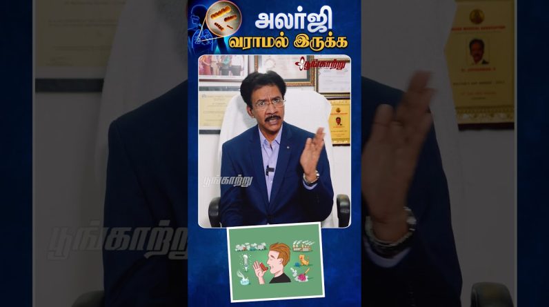 1766423642 maxresdefault