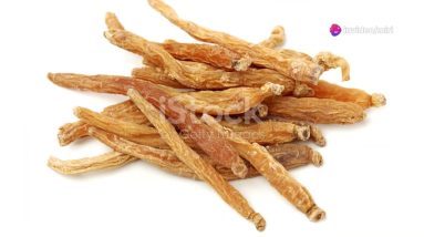 1766426149 maxresdefault