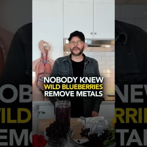 1766440832 maxresdefault