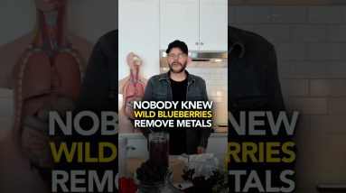 1766440832 maxresdefault