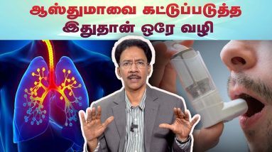 1766445598 maxresdefault