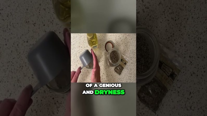 1766448163 maxresdefault