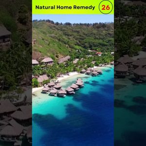 1766455501 maxresdefault