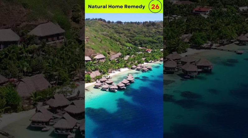 1766455501 maxresdefault