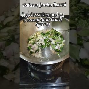 1766477443 maxresdefault