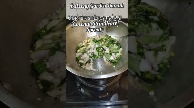 1766477443 maxresdefault