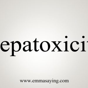 1766484447 maxresdefault