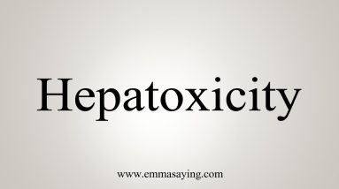 1766484447 maxresdefault