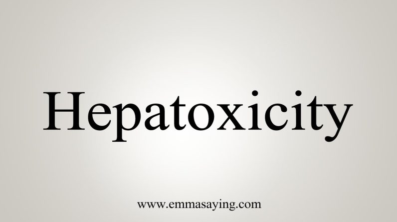 1766484447 maxresdefault