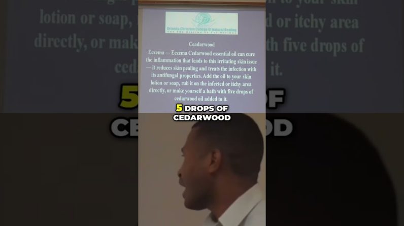 1766499422 maxresdefault