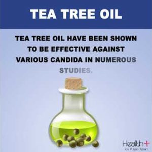 1766503964 hqdefault