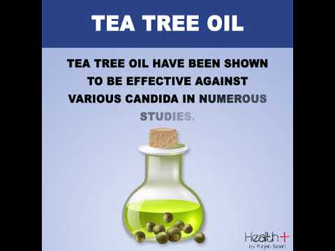 1766503964 hqdefault