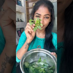 1766507500 maxresdefault