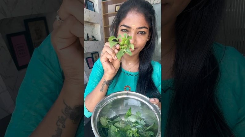 1766507500 maxresdefault