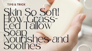 1766528683 maxresdefault