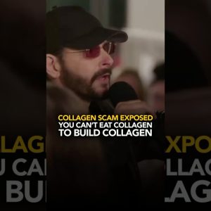 1766532343 maxresdefault