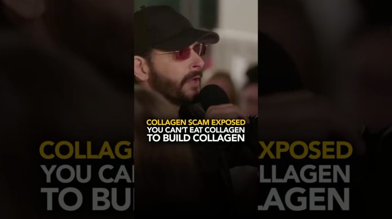 1766532343 maxresdefault