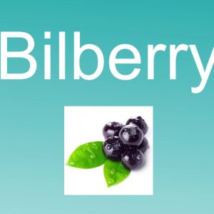 1766554006 maxresdefault