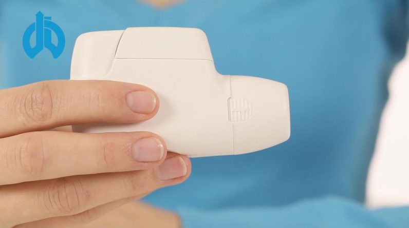 1766561333 maxresdefault