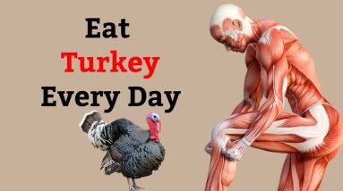 1766590606 maxresdefault