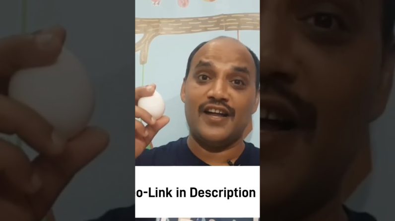 1766599065 maxresdefault