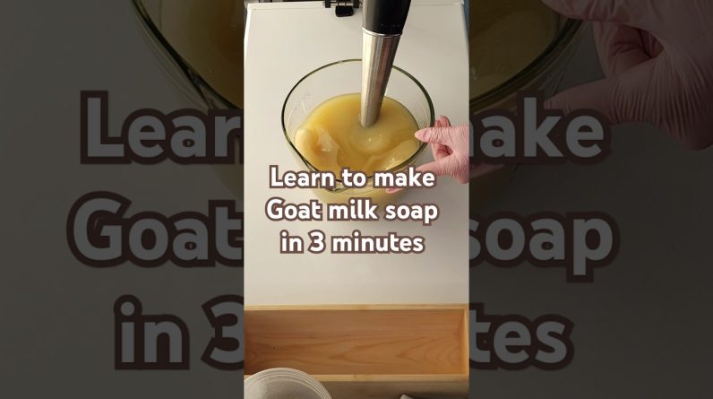 1766628456 maxresdefault