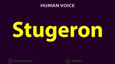 1766667388 maxresdefault