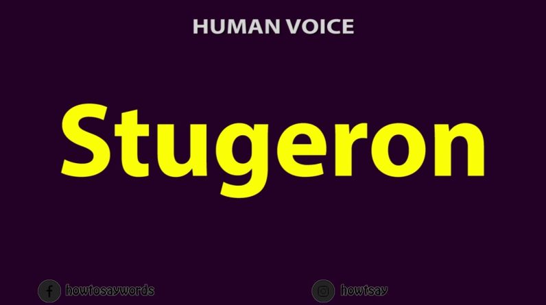 1766667388 maxresdefault