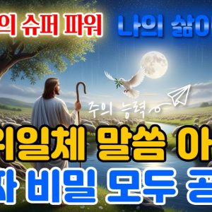 1766680035 maxresdefault