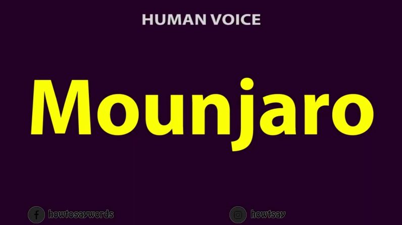 1766685821 maxresdefault